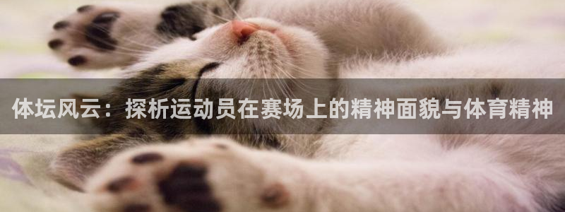中欧体育ac米兰：体坛风云：探析运动员在赛场上的精神面貌与体育精神