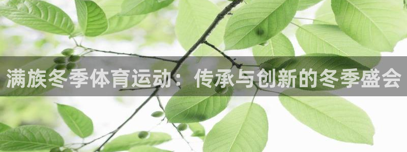 zyty中欧体育平台：满族冬季体育运动：传承与创新的冬季盛会