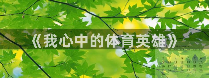 中欧体育kok：《我心中的体育英雄》
