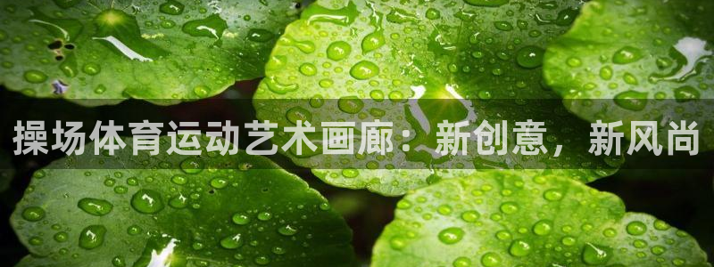 中欧体育app：操场体育运动艺术画廊：新创意，新风尚