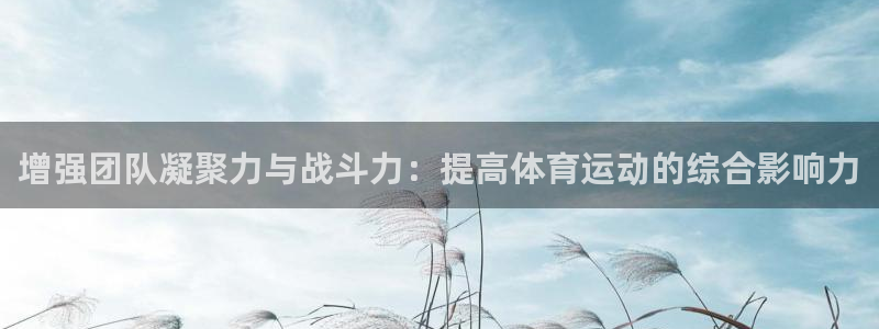 中欧体育李勇鸿：增强团队凝聚力与战斗力：提高体育运动的综合影响力