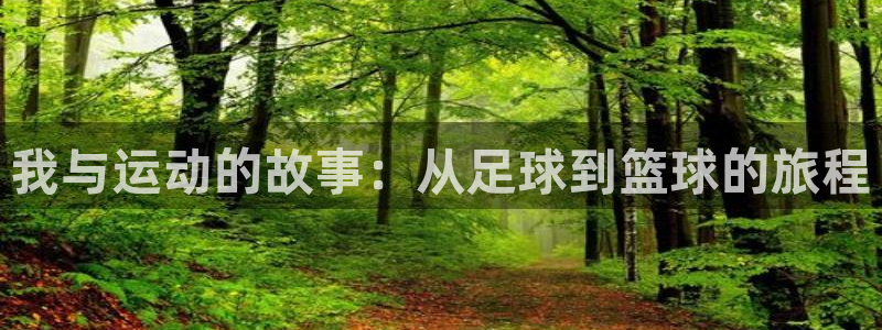 中欧体育李勇鸿：我与运动的故事：从足球到篮球的旅程