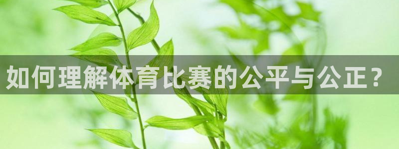 kok中欧体育：如何理解体育比赛的公平与公正？