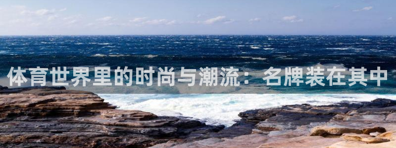 中欧体育最新地址：体育世界里的时尚与潮流：名牌装在其中
