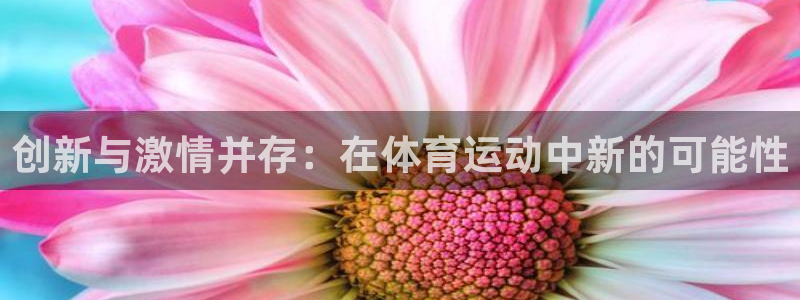中欧体育网站：创新与激情并存：在体育运动中新的可能性