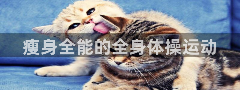 中欧体育ac米兰：瘦身全能的全身体操运动