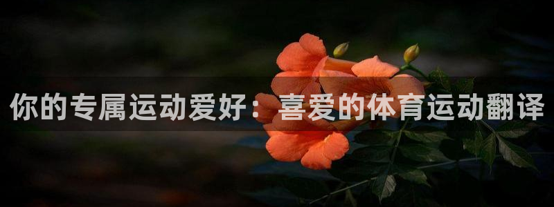中欧体育ac米兰：你的专属运动爱好：喜爱的体育运动翻译