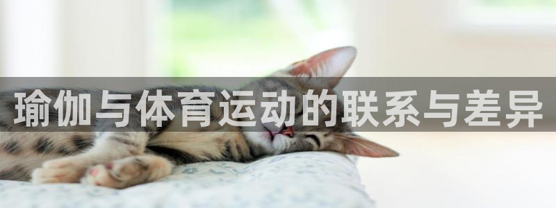 中欧体育网站：瑜伽与体育运动的联系与差异