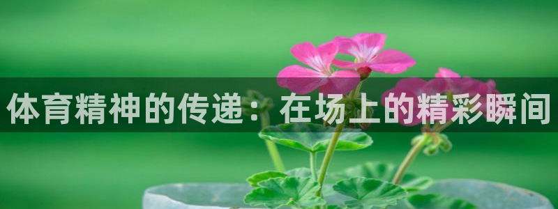 中欧体育ios：体育精神的传递：在场上的精彩瞬间